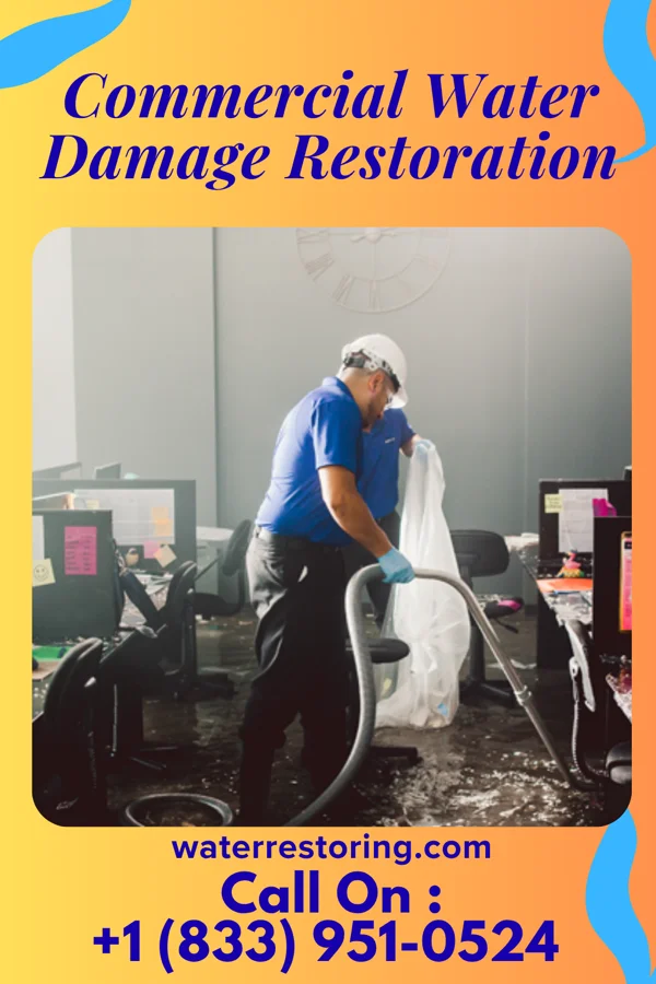 Commercial Water Damage Restoration in Marlene Village, OR